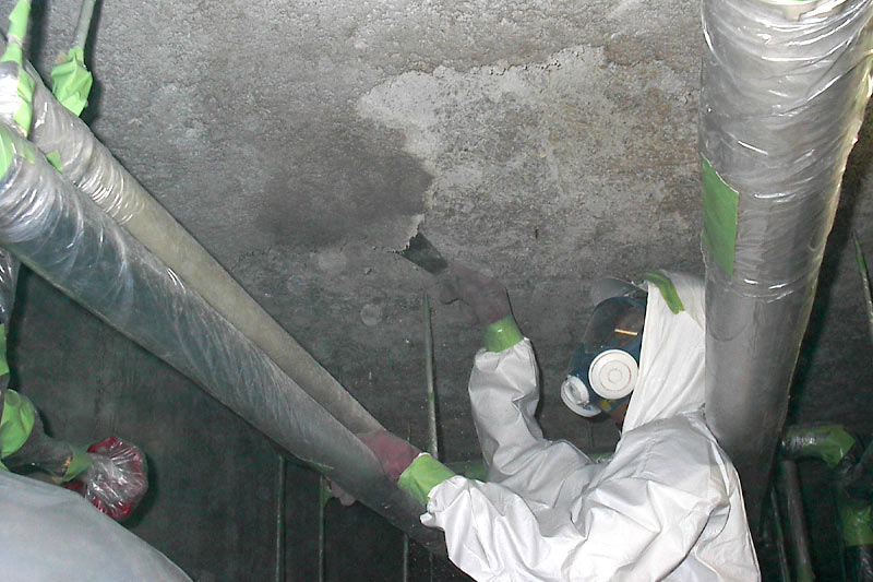 アスベスト（石綿）撤去事業